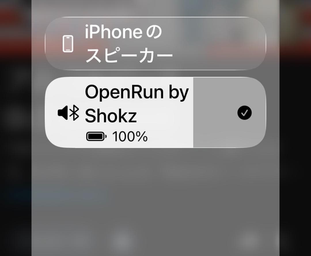 Shokz Bone-Conduction Earphones Openrun S803