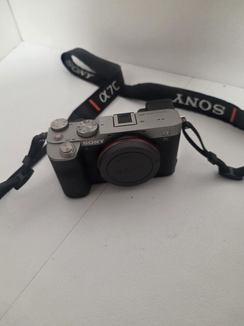 Sony Mirrorless Interchangeable Lens Cameras 7C