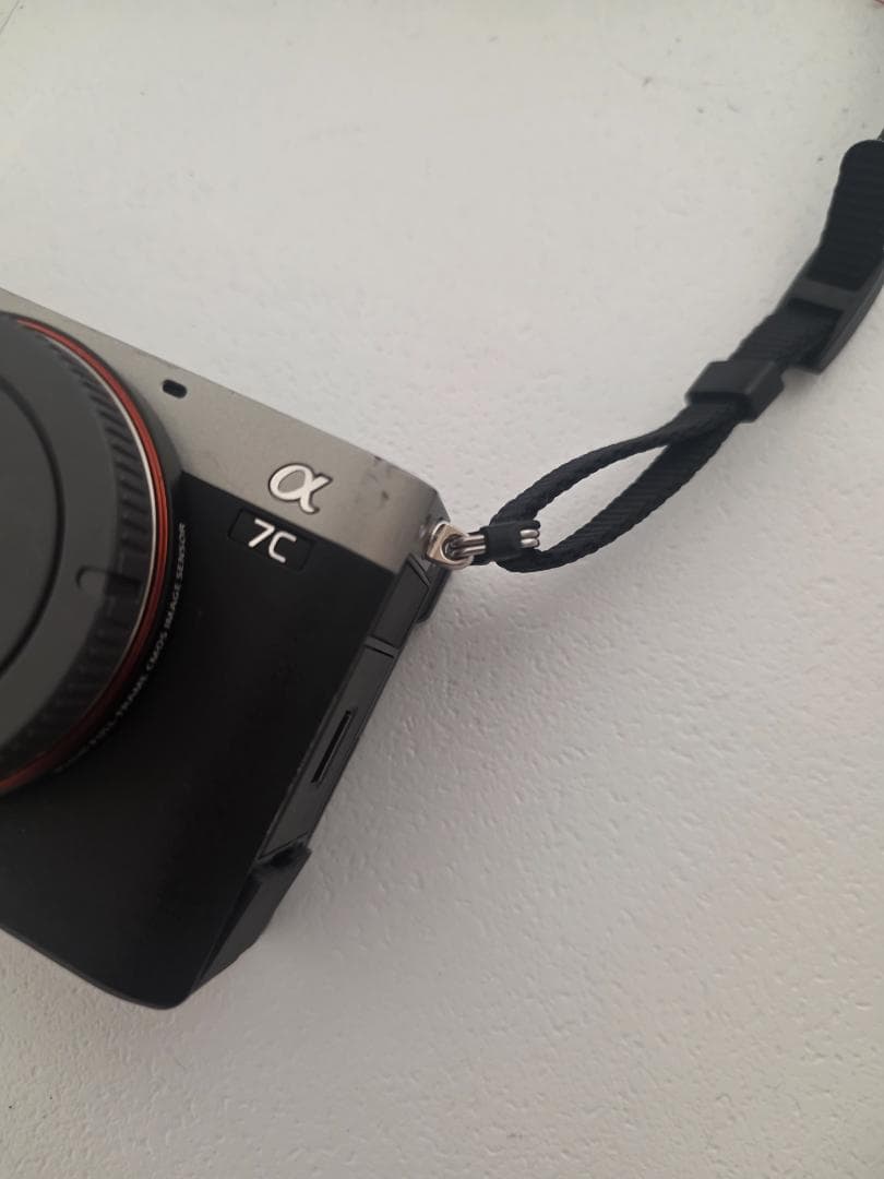 Sony Mirrorless Interchangeable Lens Cameras 7C