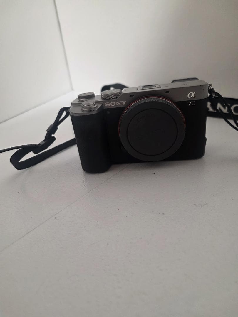 Sony Mirrorless Interchangeable Lens Cameras 7C