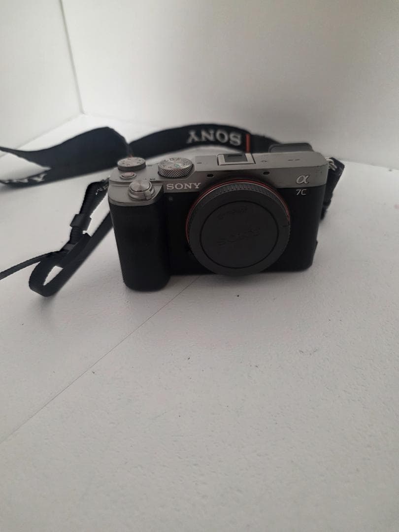 Sony Mirrorless Interchangeable Lens Cameras 7C