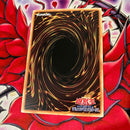 Yu -Gi -Oh! Ocg Duel Monsters