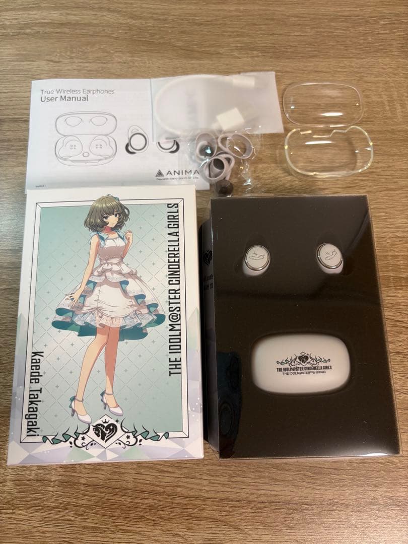 Onkyo Wireless Earphones