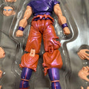 Dragon Ball S.H.Figuarts