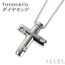 Tiffany Necklace Pt950/ Pt850