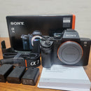 Sony Mirrorless Interchangeable Lips 7Ii