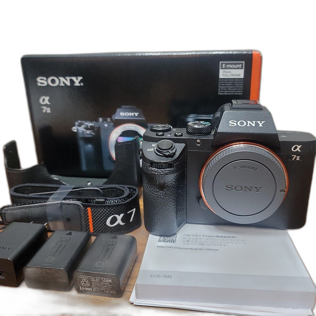 Sony Mirrorless Interchangeable Lips 7Ii