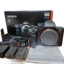 Sony Mirrorless Interchangeable Lips 7Ii