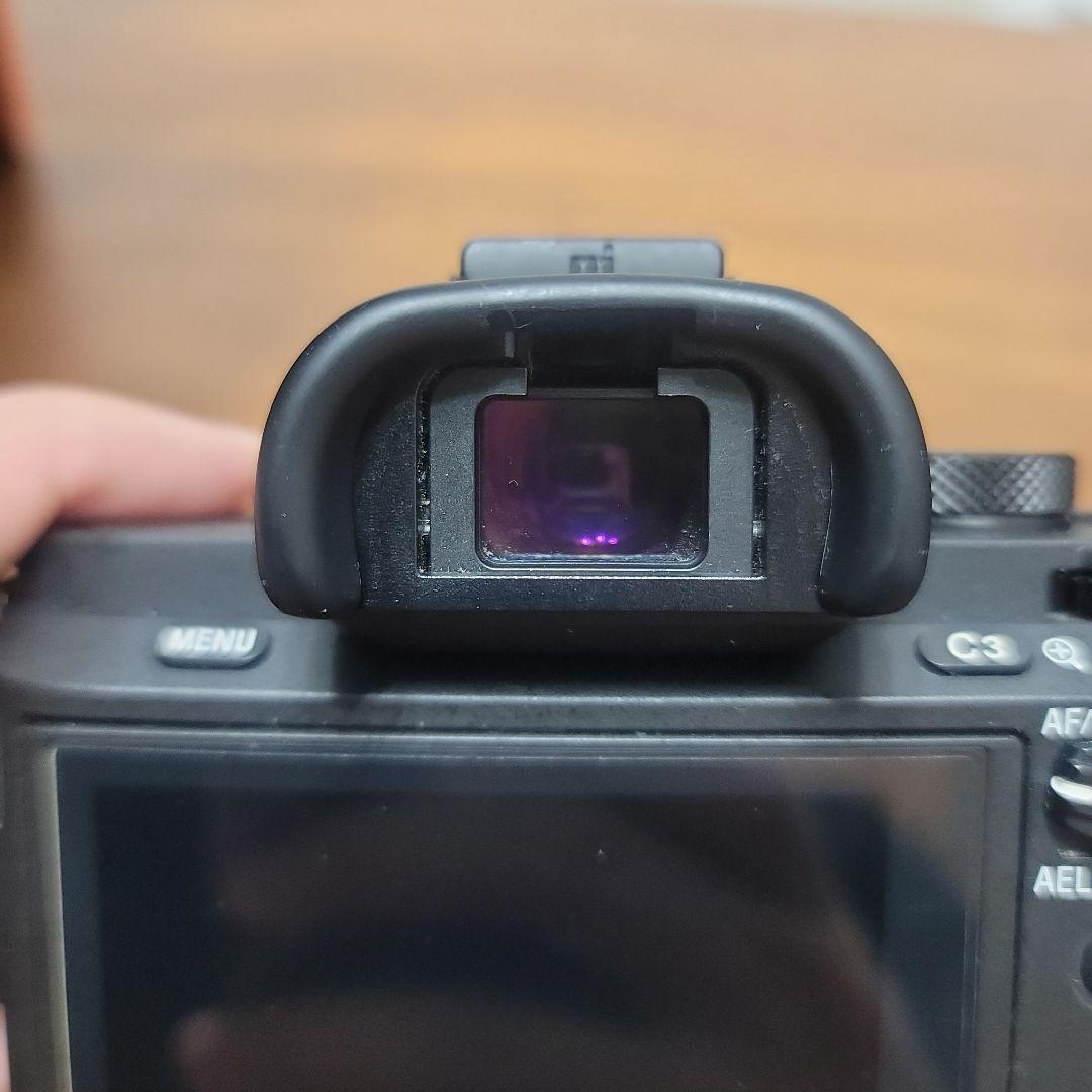 Sony Mirrorless Interchangeable Lips 7Ii