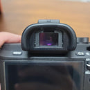 Sony Mirrorless Interchangeable Lips 7Ii