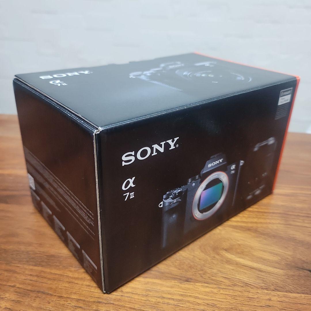 Sony Mirrorless Interchangeable Lips 7Ii