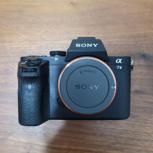 Sony Mirrorless Interchangeable Lips 7Ii