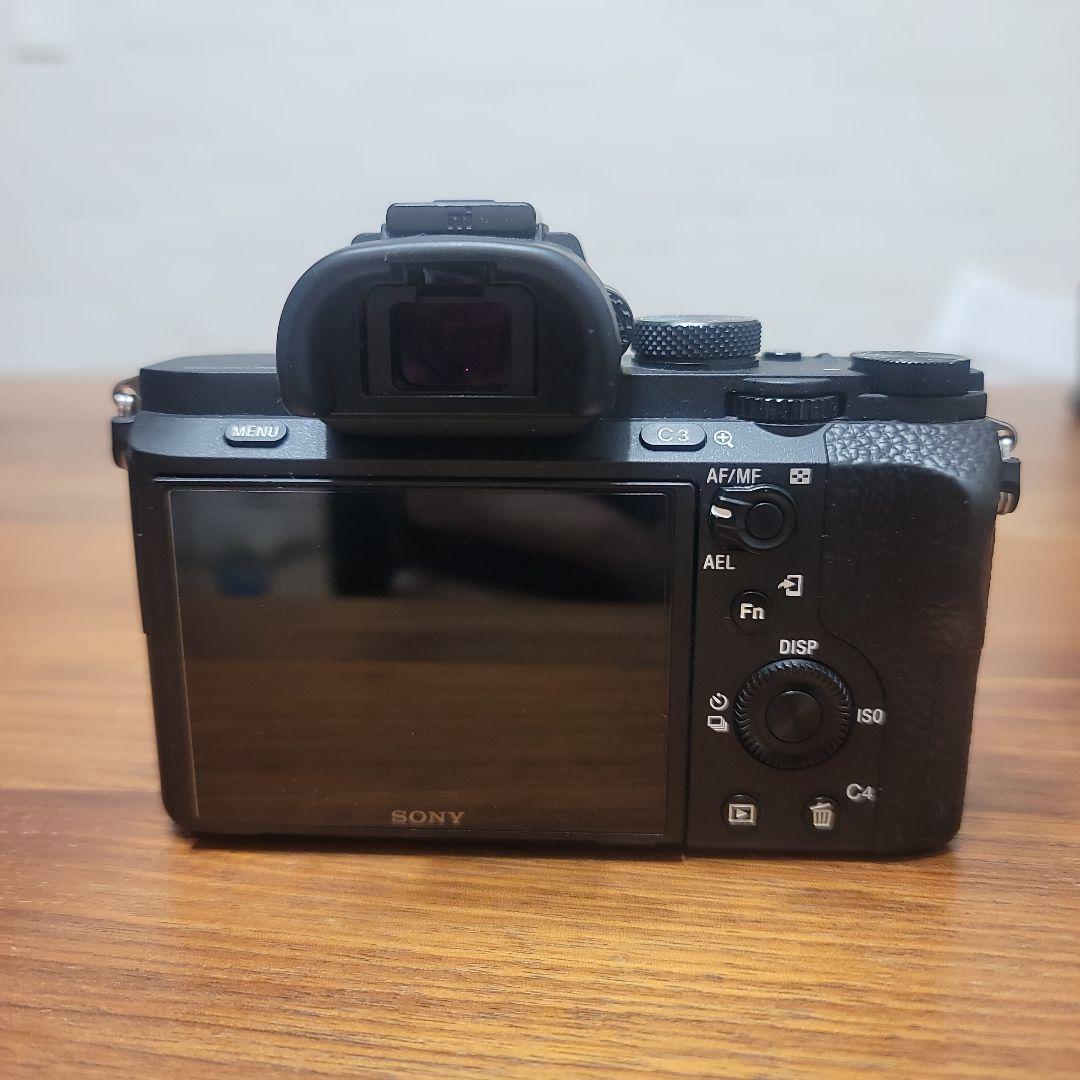 Sony Mirrorless Interchangeable Lips 7Ii