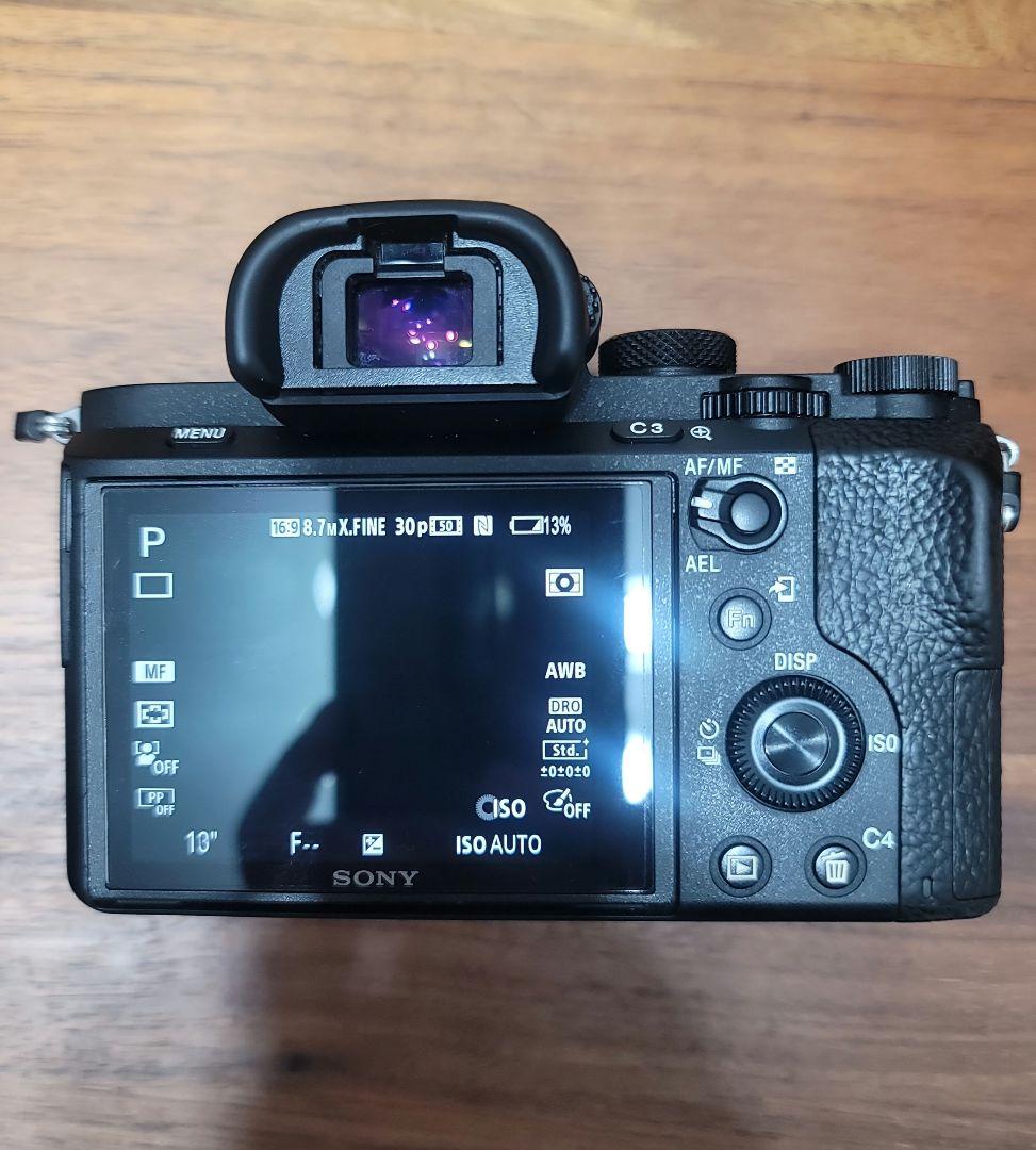Sony Mirrorless Interchangeable Lips 7Ii