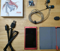 Sony Digital Audio Player Walkman Nw-A45