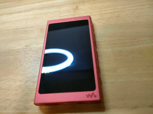 Sony Digital Audio Player Walkman Nw-A45