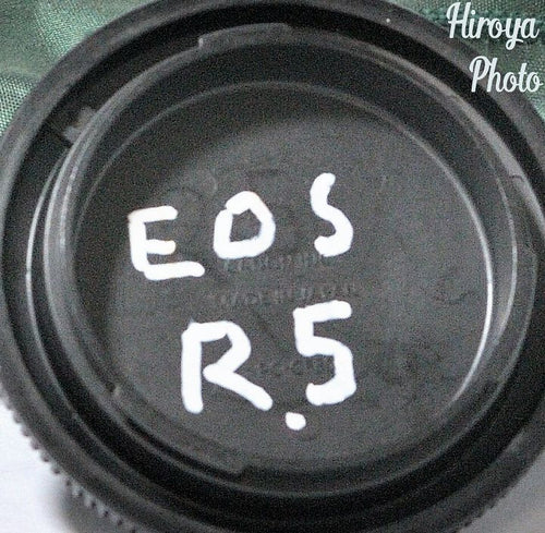 Canon Mirrorless Interchangeable Lips Eos R5 Body