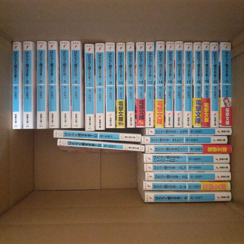Literature Novel