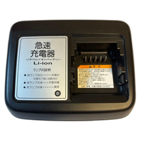 Yamaha Motor Chargers