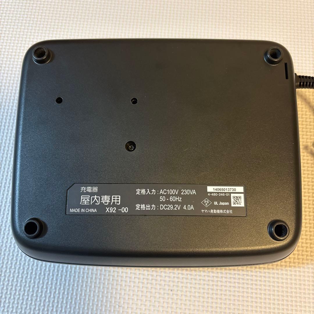 Yamaha Motor Chargers X92-00