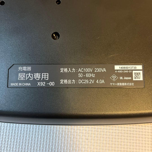 Yamaha Motor Chargers