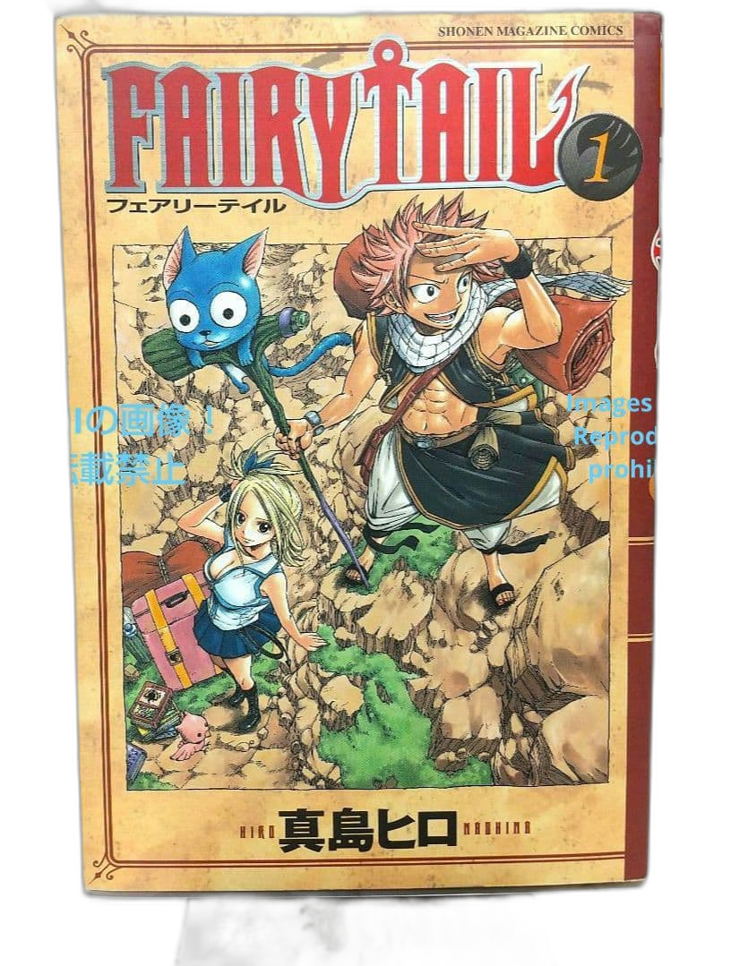 Boy'S Manga Fairy Tail 1