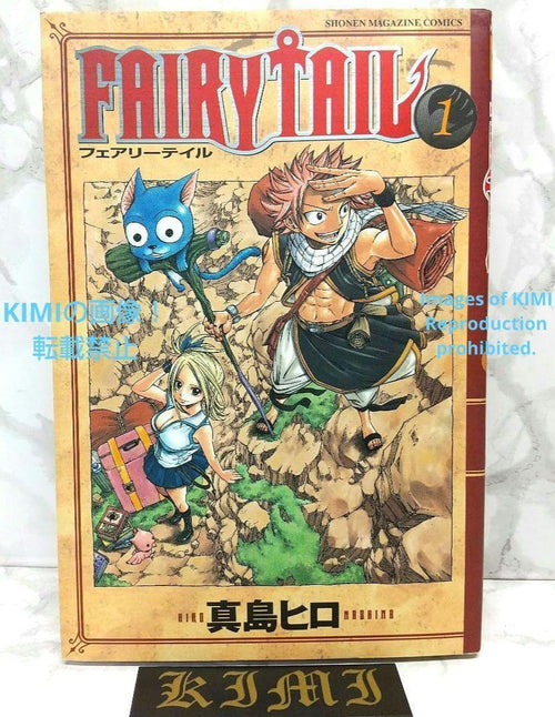Boy'S Manga Fairy Tail 1