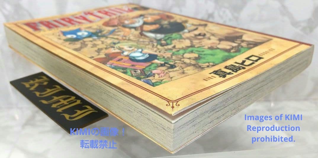Boy'S Manga Fairy Tail 1