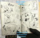 Boy'S Manga Fairy Tail 1
