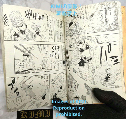 Boy'S Manga Fairy Tail 1