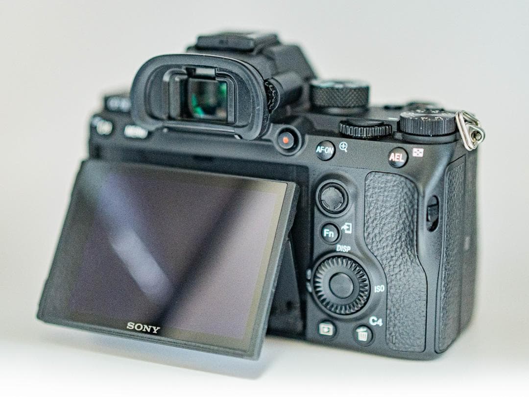 Sony Mirrorless Interchangeable Lens Cameras 7Iii