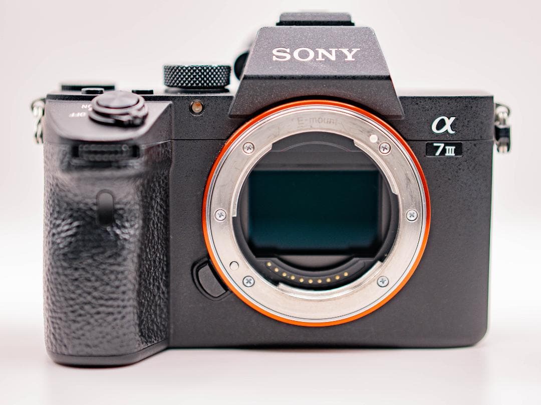 Sony Mirrorless Interchangeable Lens Cameras 7Iii