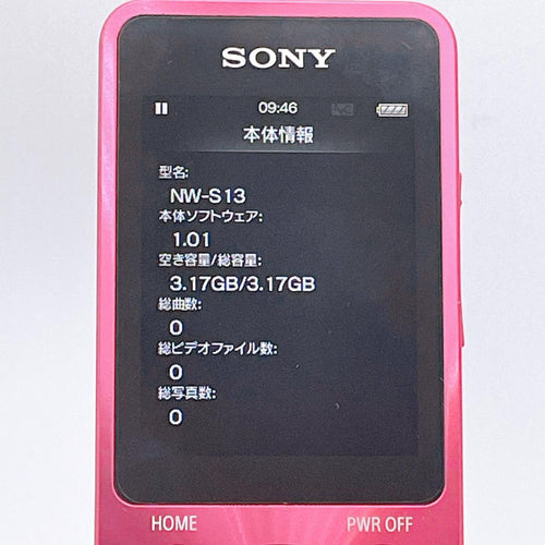 Sony Digital Audio Player Walkman Nw-S13 4Gb