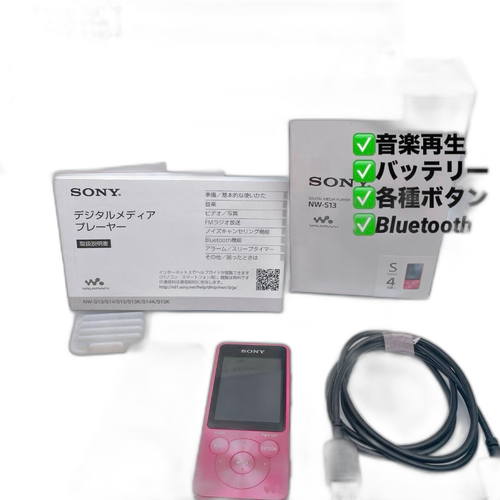 Sony Digital Audio Player Walkman Nw-S13 4Gb