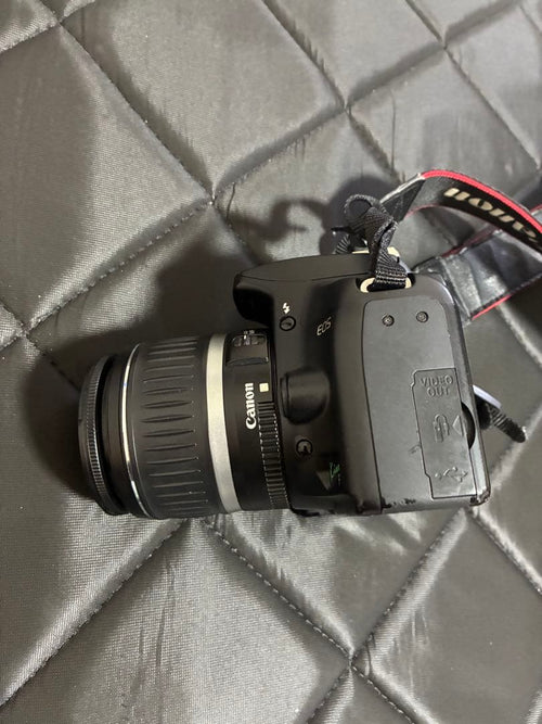 Canon Digital Slrs Eos Kiss F