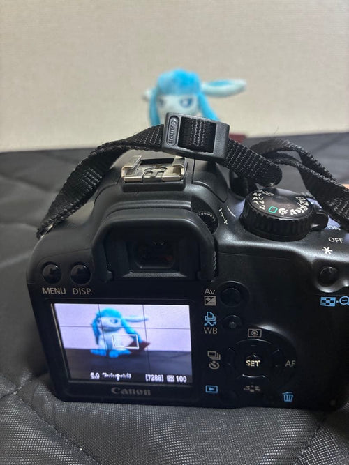 Canon Digital Slrs Eos Kiss F