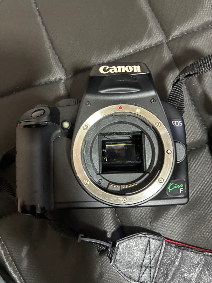 Canon Digital Slrs Eos Kiss F
