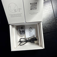 Wireless Earphones Hollyland