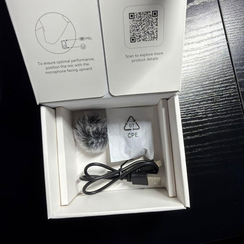 Wireless Earphones Hollyland