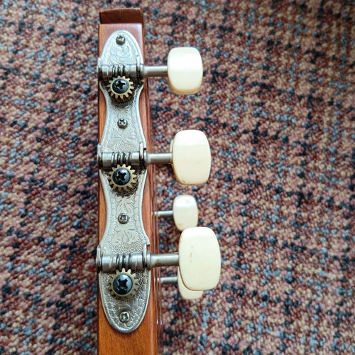Yamaha Classical Guitars 150