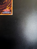 Yu-Gi-Oh! Ocg Duel Monsters (Japanese) No.62 20Th