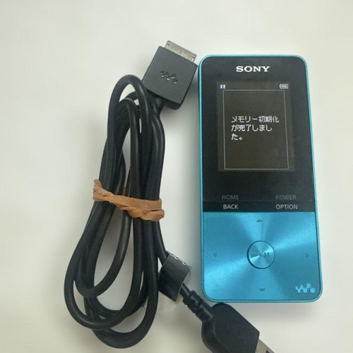 Sony Digital Audio Player Walkman Nw-S313 4Gb