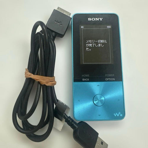 Sony Digital Audio Player Walkman Nw-S313 4Gb