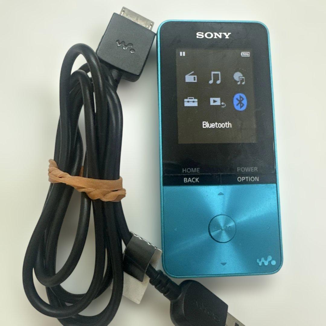 Sony Digital Audio Player Walkman Nw-S313 4Gb