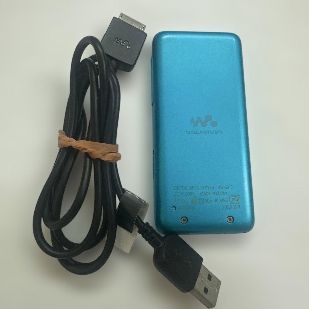 Sony Digital Audio Player Walkman Nw-S313 4Gb
