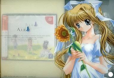 Soft Air(