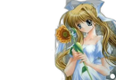 Soft Air(