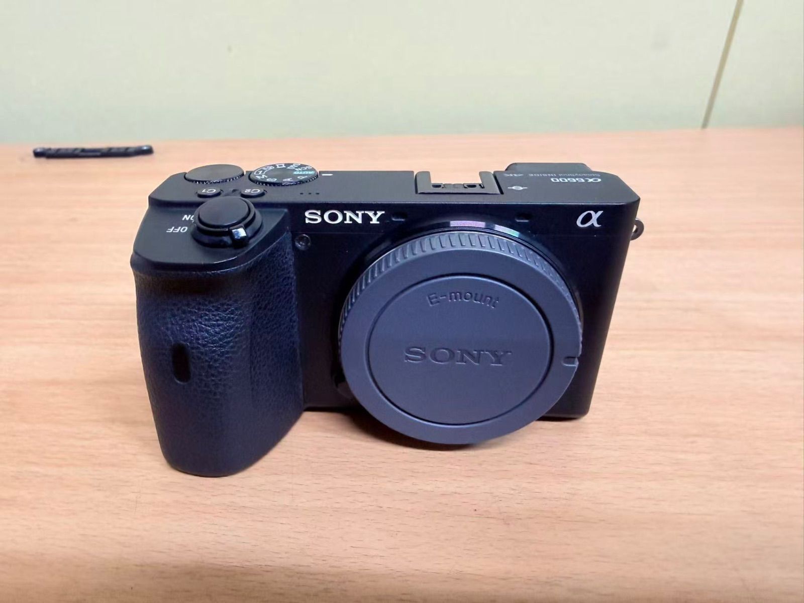 Sony Digital Slr Ilce-6600M 6600