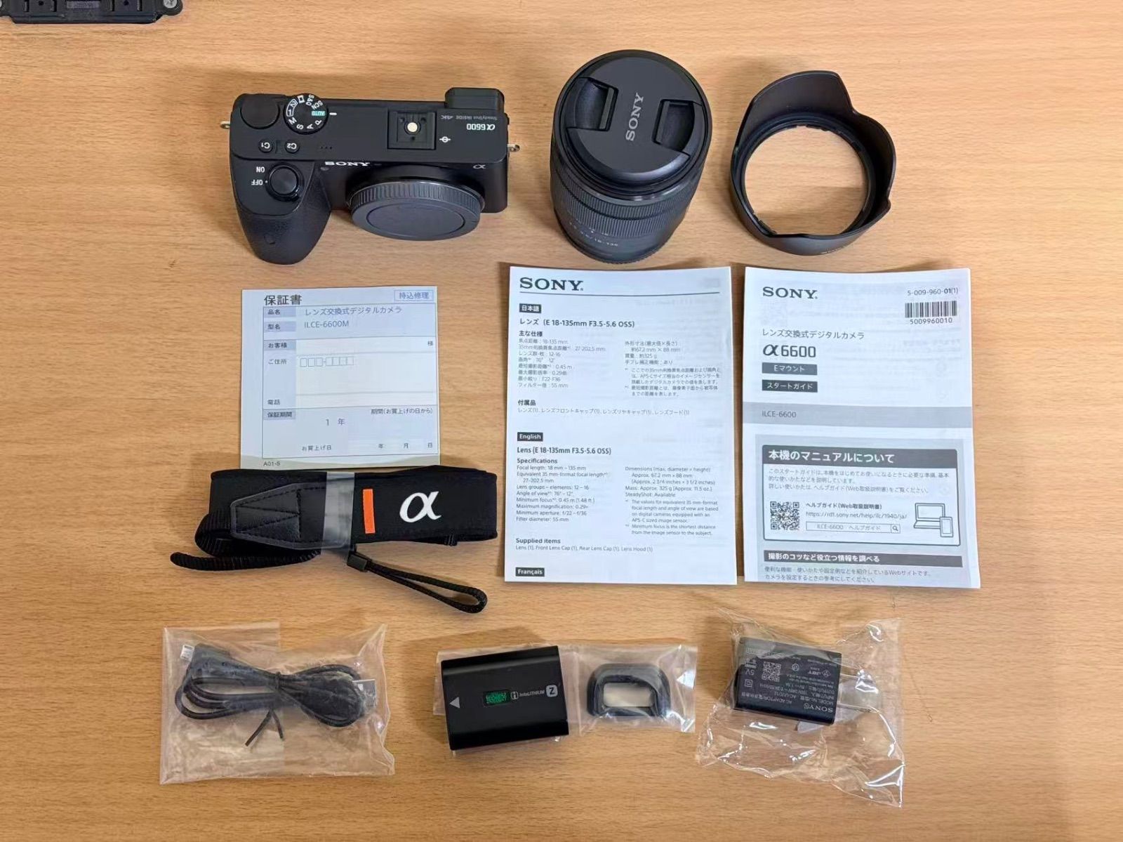 Sony Digital Slr Ilce-6600M 6600