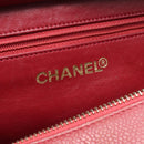 Chanel Handbag A15688 Used B